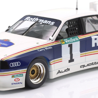 Terry Moss Audi 200 Trans Am #1 Wesbank Modifieds 1992