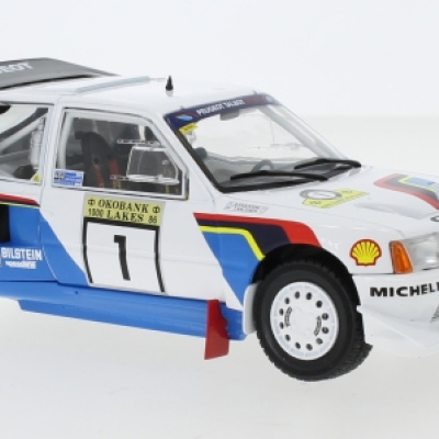 Timo Salonen Peugeot 205 T16/E2 1000 Lakes Rally 1986